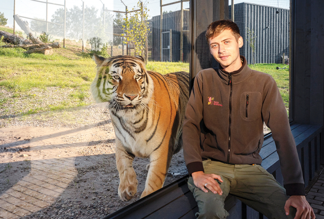 Siguldas Zoo līdzīpašnieks, dzīvnieku uzraugs Daniels Kalvišs kopā ar Amūras tīģeri Doniņu.