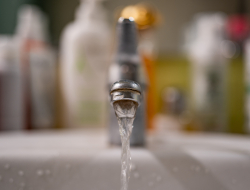 Ekrānkopija no ARTE video.