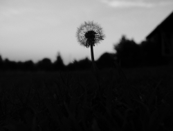 Ilustratīvs attēls. Gints Klāsons.