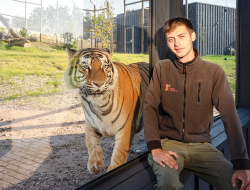 Siguldas Zoo līdzīpašnieks, dzīvnieku uzraugs Daniels Kalvišs kopā ar Amūras tīģeri Doniņu.