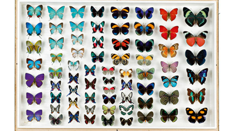 Foto — Imageforum/LETA