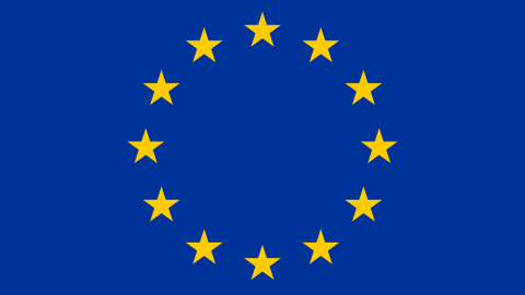 2024_06_Flag_of_Europe.svg_.png