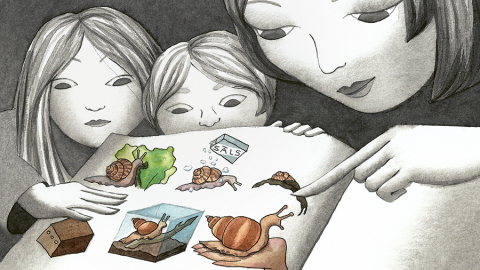 Ilustrācija – Agnese Apine