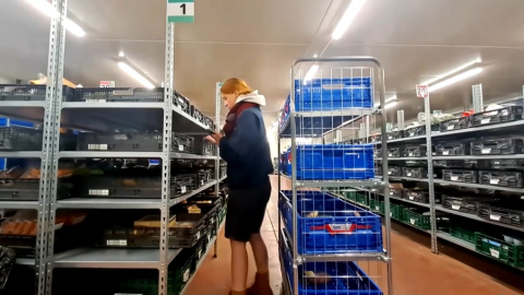 Attēls no ARTE video