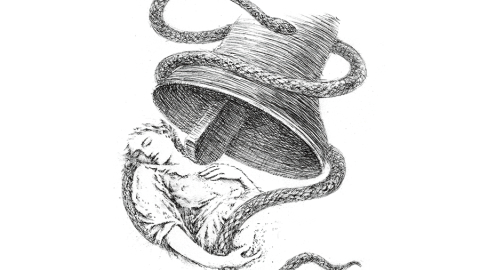 Ilustrācija — Rasa Pavilona