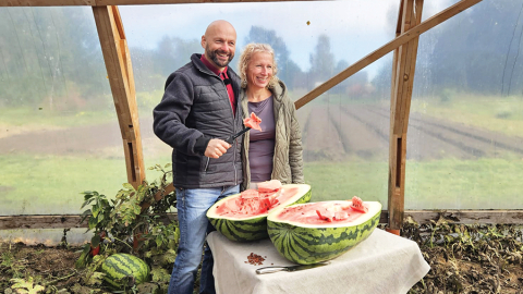 Lielo arbūzu šķirnes nav pašas gardākās, jo, «iegūstot izmēru, kaut kas tiek zaudēts — gan garša, gan skats». Taču šis arbūzs bija «gana labs». «Ja es lielveikalā tādu būtu nopircis, es pat neapvainotos,» pasmejas Māris Limbergs.