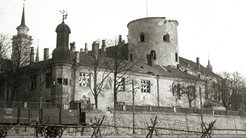 1919. gada 8. jūlijs. Pulcēšanās Daugavmalā pie Rīgas pils, lai sagaidītu Latvijas Pagaidu valdību atgriežamies no Liepājas. Foto — Vilis Rīdzenieks. Rīgas vēstures un kuģniecības muzeja krājums