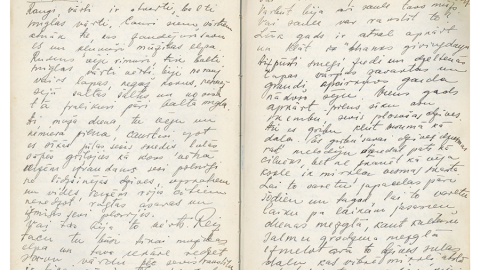 Jūlija Celmiņa pagājušā gadsimta 40.—50. gados rakstītās dienasgrāmatas lappuses