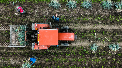 Ekrānkopija no ARTE video.
