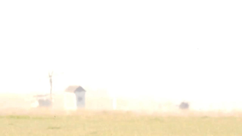 Ekrānuzņēmums no ARTE video.