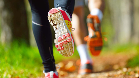 Ekrānkopija no ARTE video.