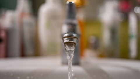 Ekrānkopija no ARTE video.