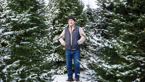 Imants Parfenovičs, ZS Zaļenieku kokaudzētava īpašnieks.