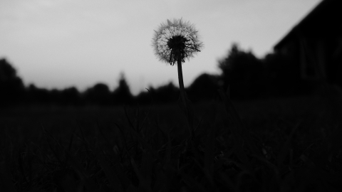 Ilustratīvs attēls.