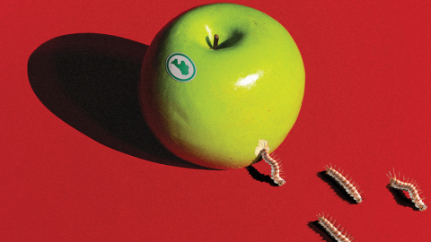 Ilustrācija — Krišs Salmanis