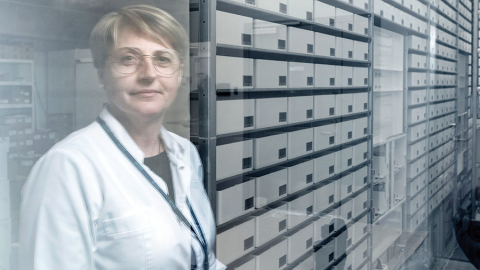 Rīgas Austrumu slimnīcas Aptiekas dienesta vadītāja Laila Eglīte rāda automatizētu zāļu skapi, kas ievestos medikamentus šķiro un izsniedz pēc vajadzības, kā arī uzmana to derīguma termiņu.