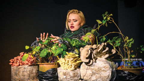 Sabīne ar skatuves vārdu Waterflower regulāri veido performances, kurās atskaņo no augiem radīto mūziku.