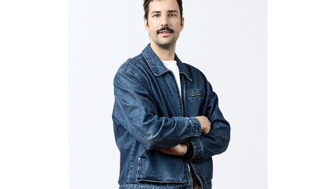 Rihards Ginters, Wit Consulting stratēģis