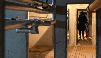 Rīgā, Dzilnas ielā, — dzīvojamās mājas pagrabs, kas izvēlēts kā iespējama patvēruma vieta, ir diezgan primitīvs