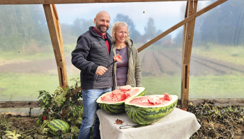 Lielo arbūzu šķirnes nav pašas gardākās, jo, «iegūstot izmēru, kaut kas tiek zaudēts — gan garša, gan skats». Taču šis arbūzs bija «gana labs». «Ja es lielveikalā tādu būtu nopircis, es pat neapvainotos,» pasmejas Māris Limbergs.