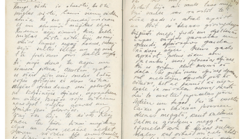 Jūlija Celmiņa pagājušā gadsimta 40.—50. gados rakstītās dienasgrāmatas lappuses