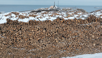 Kadrs no filmas Visi putni skaisti dzied. Publicitātes foto