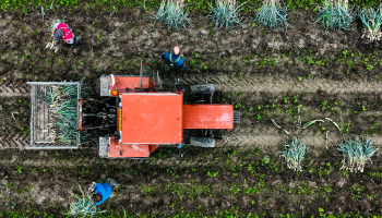 Ekrānkopija no ARTE video.