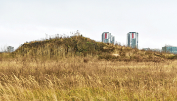 Skanstes parka veidošanā noraktā grunts sagāzta lielā kaudzē. Tajā ir pamatīgs naftas un smago metālu piesārņojums, turklāt tā trīs gadus bez saskaņojuma nogulējusi uz kaimiņos esošas privātas zemes.