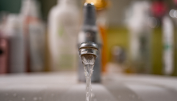 Ekrānkopija no ARTE video.