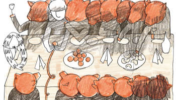 Ilustrācija — Ilze Jankevica