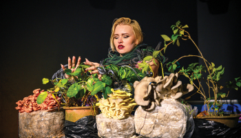 Sabīne ar skatuves vārdu Waterflower regulāri veido performances, kurās atskaņo no augiem radīto mūziku.