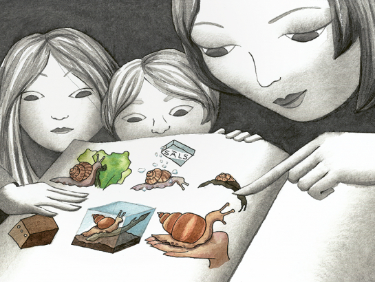 Ilustrācija – Agnese Apine