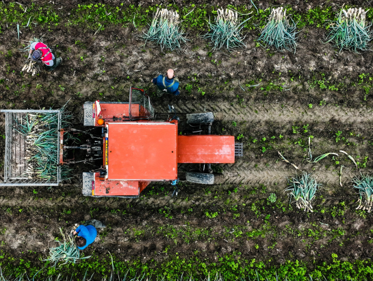 Ekrānkopija no ARTE video.