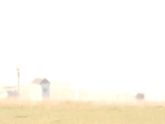 Ekrānuzņēmums no ARTE video.