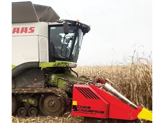 Lietavu dēļ kukurūzu ražas laikā nebija iespējams nokult, tomēr lauksaimniecības uzņēmums Krastmaļi Sēklas nepadodas — mēģina to izdarīt tagad, kad nokrišņi mitējušies. Foto no saimniecības arhīva