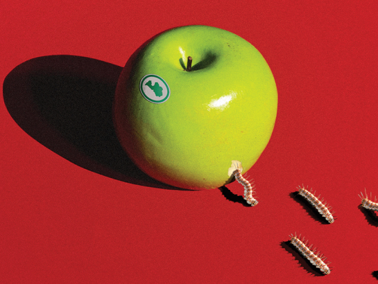 Ilustrācija — Krišs Salmanis