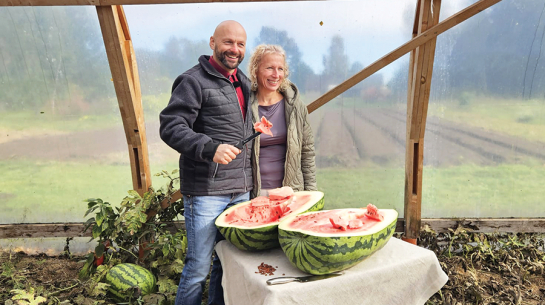 Lielo arbūzu šķirnes nav pašas gardākās, jo, «iegūstot izmēru, kaut kas tiek zaudēts — gan garša, gan skats». Taču šis arbūzs bija «gana labs». «Ja es lielveikalā tādu būtu nopircis, es pat neapvainotos,» pasmejas Māris Limbergs.