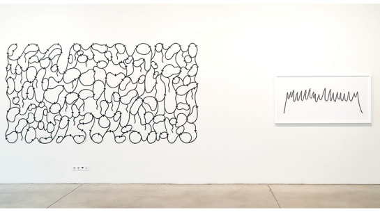 Maijas Kurševas personālizstādē Tīrraksts. Publicitātes foto