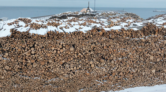 Kadrs no filmas Visi putni skaisti dzied. Publicitātes foto