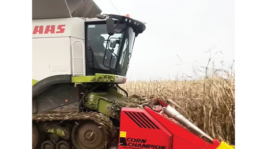 Lietavu dēļ kukurūzu ražas laikā nebija iespējams nokult, tomēr lauksaimniecības uzņēmums Krastmaļi Sēklas nepadodas — mēģina to izdarīt tagad, kad nokrišņi mitējušies. Foto no saimniecības arhīva