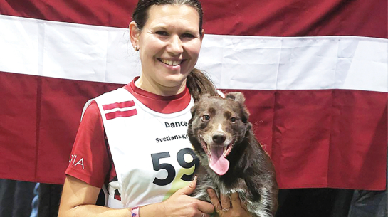 Svetlana kopā ar sunīti Danci piedalījās gada vērienīgākajā un visvairāk gaidītajā adžiliti pasaules notikumā — Starptautiskās Kinoloģiskās federācijas rīkotajā pasaules čempionātā.