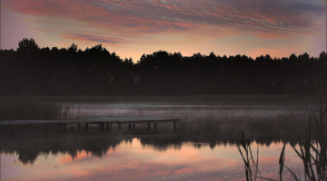 Foto: Gundega Šķēla, speciāli Ir.lv
