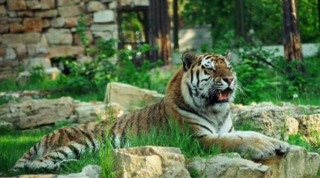 Rīgas Zooloģiskais dārzs