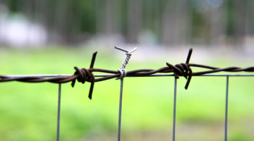 Foto: Lauris Nagliņš, LETA