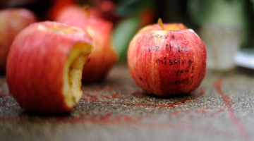 Piemiņas āboli "Apple" radītājam datorģēnijam Stīvam Džobsam. Foto: AFP/LETA