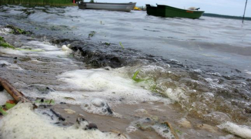 Izskalotas ūdenszāles un netīrumi šovasar Ķīšezera krastā. Foto: Jānis Skruzis, LETA