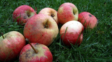 Foto Kaspars Krafts, f64