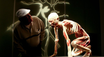 foto: Bodies Revealed