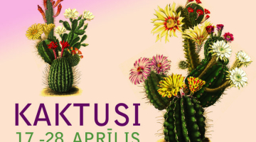 2014_09_kaktusii-2013-media-large.jpg