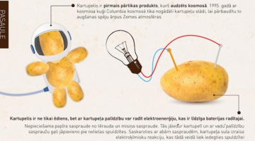 2014_09_kartupelis-media-large1.jpg